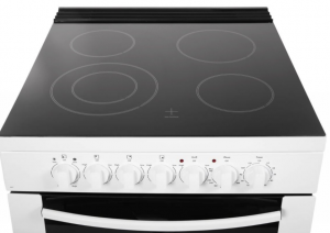 electric gas stove